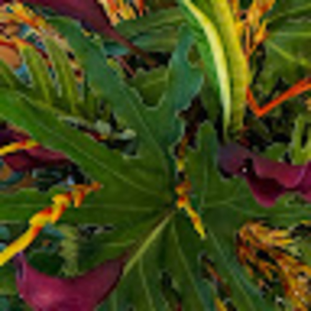 Meet your Posher, Valeria